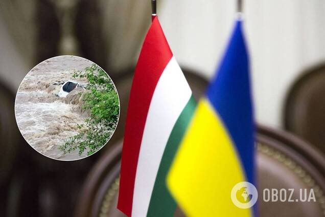 Украина опозорилась перед Венгрией в вопросе экологии, – эксперт