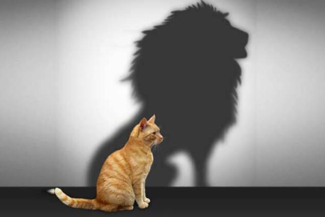 Про нимб, который не жмет, и корону, которая не придавила мозг