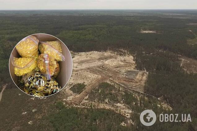 Украина впервые продала право добывать янтарь: кто и за сколько купил