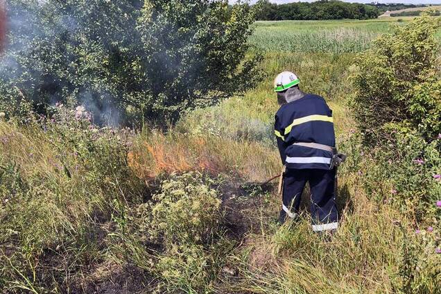 Дніпро і область накривають пожежі: люди масово спалюють сухостій