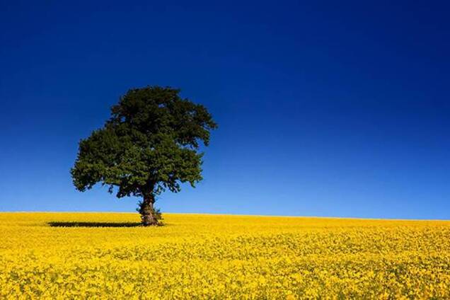 Компромісний, узгоджений і вилизаний суверенітет