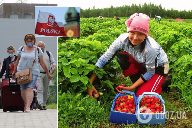 Польща безкоштовно протестує українських заробітчан на COVID-19