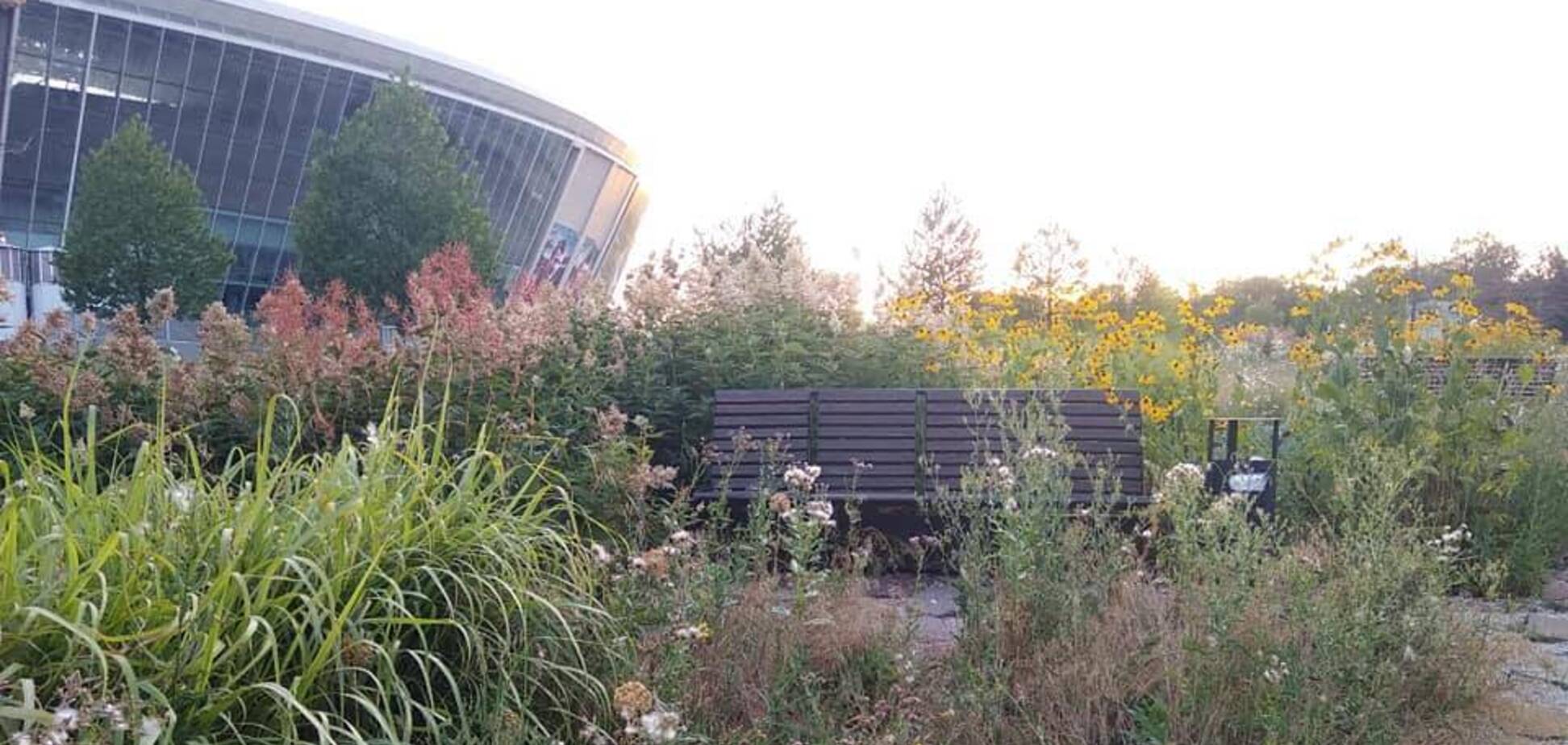 В сети опубликовали фотографии сквера возле 'Донбасс Арены'