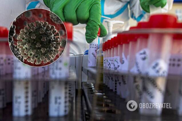 Эпидемию коронавируса невозможно остановить в отдельных регионах Украины. Подробный прогноз НАН на неделю