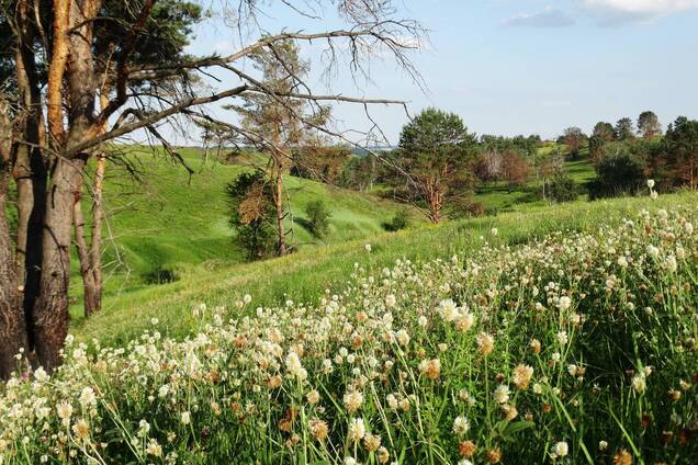 Подорожуємо Україною: Змієві вали на Київщині