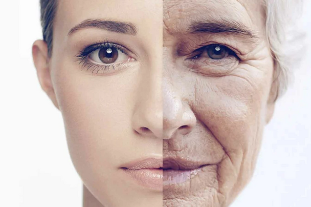 Розкрито основні механізми старіння