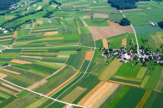 Як влада на різні сорти області України поділила