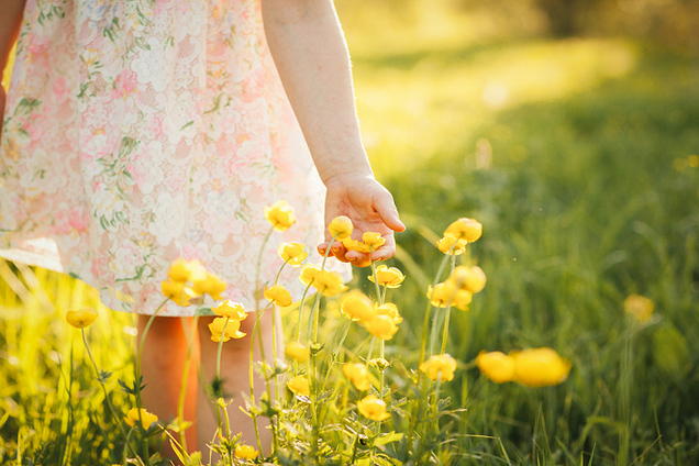 Лето в Украине может длиться четыре месяца: метеоролог предупредила об изменении климата