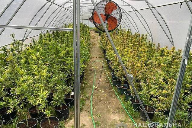 В Киеве у мужчины обнаружили наркотиков на 5 млн грн