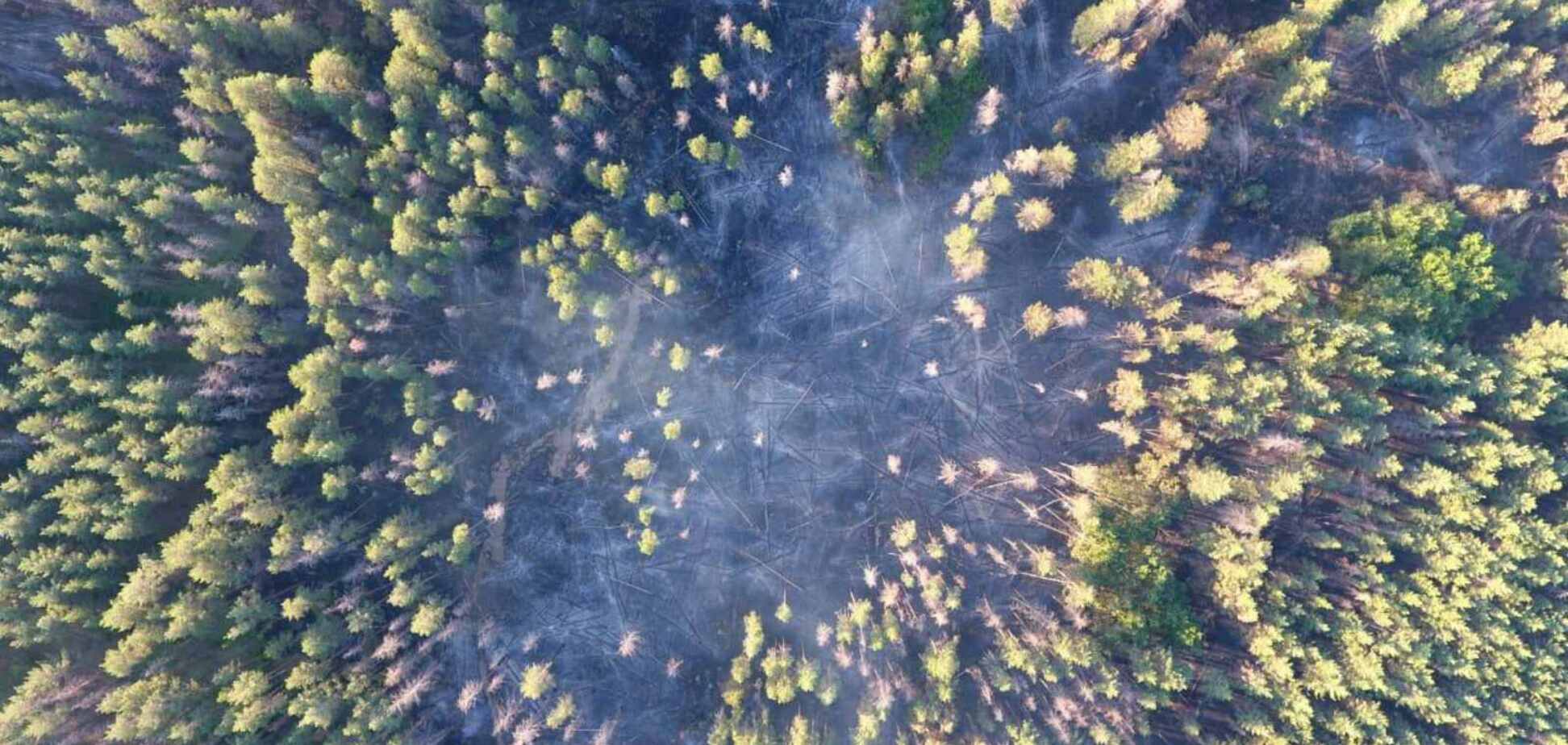 Пожар на Луганщине