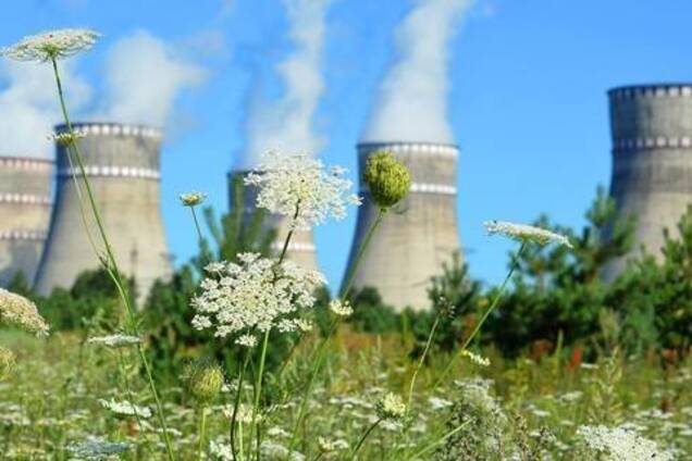 Атомная энергетика против ВИЭ. Разрушая энергосистему