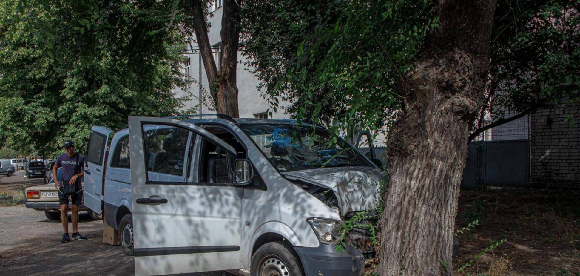 В Днепре микроавтобус влетел в дерево: пострадали шесть человек