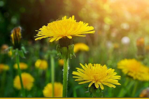 Праздники и приметы на 26 июля: что нельзя делать в этот день