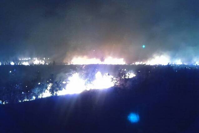 На Днепропетровщине вспыхнул масштабный лесной пожар. Фото и видео ЧП