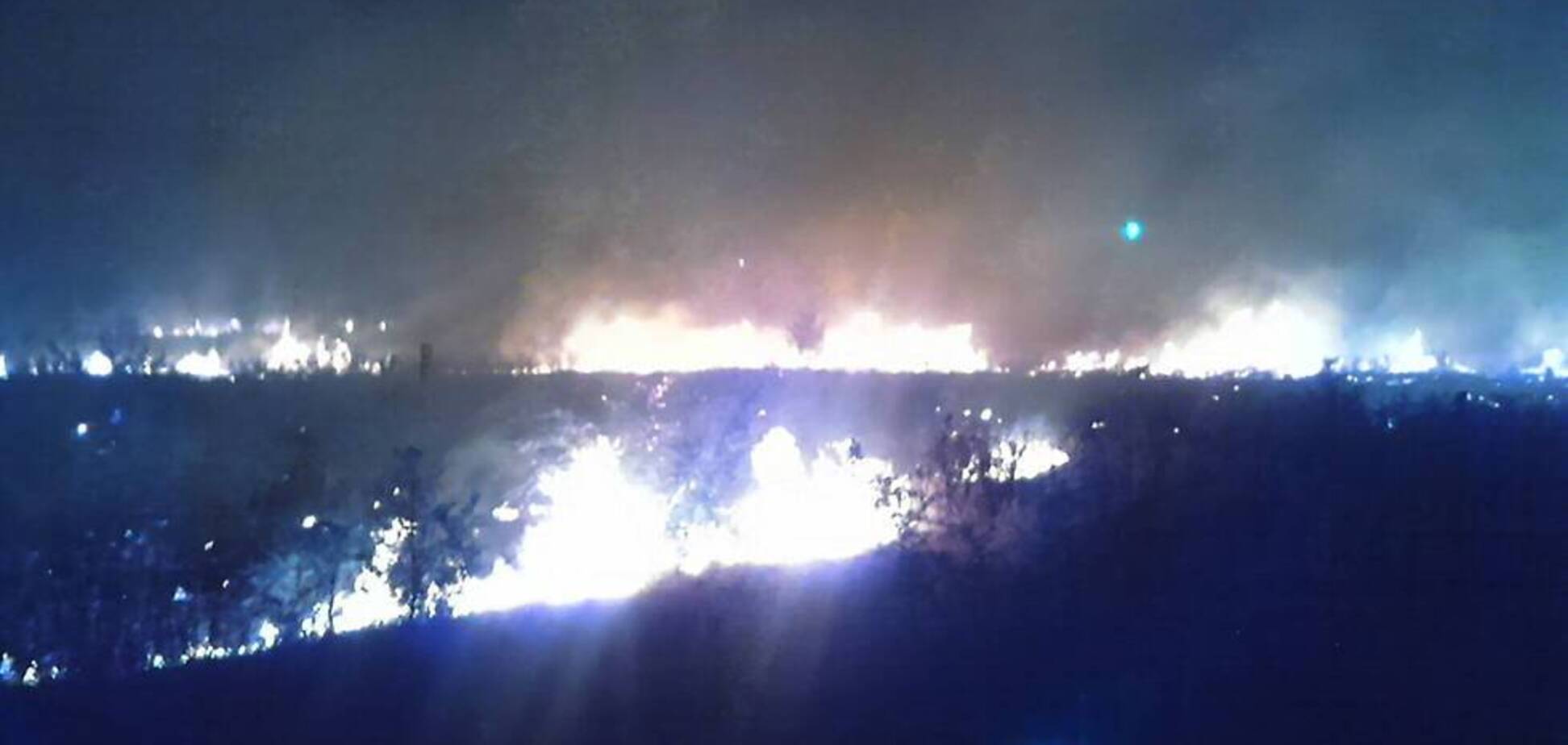 На Дніпропетровщині спалахнула масштабна лісова пожежа. Фото і відео НП