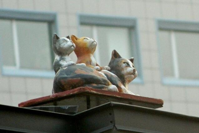 Скульптуры котов в центре Киева привели сеть в восторг