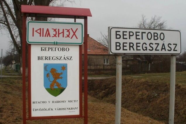 Берегівський район