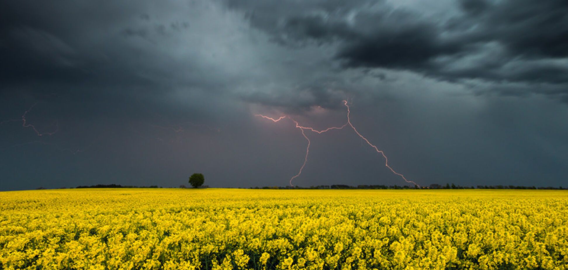 Погода в Україні