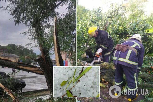 На Волыни пронесся мощный ураган: опубликованы фото последствий