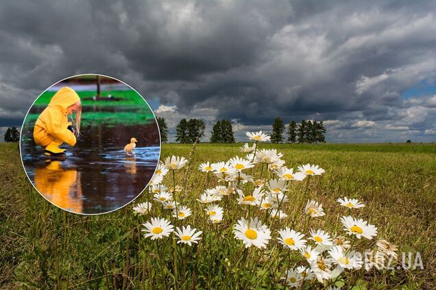 Погода в Украине