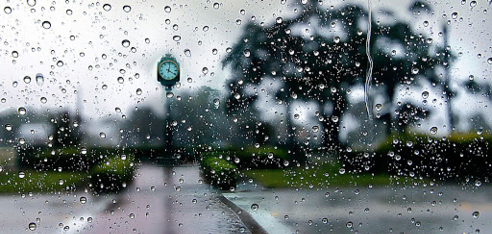 Синоптики спрогнозировали пасмурную и дождливую погоду в Днепре