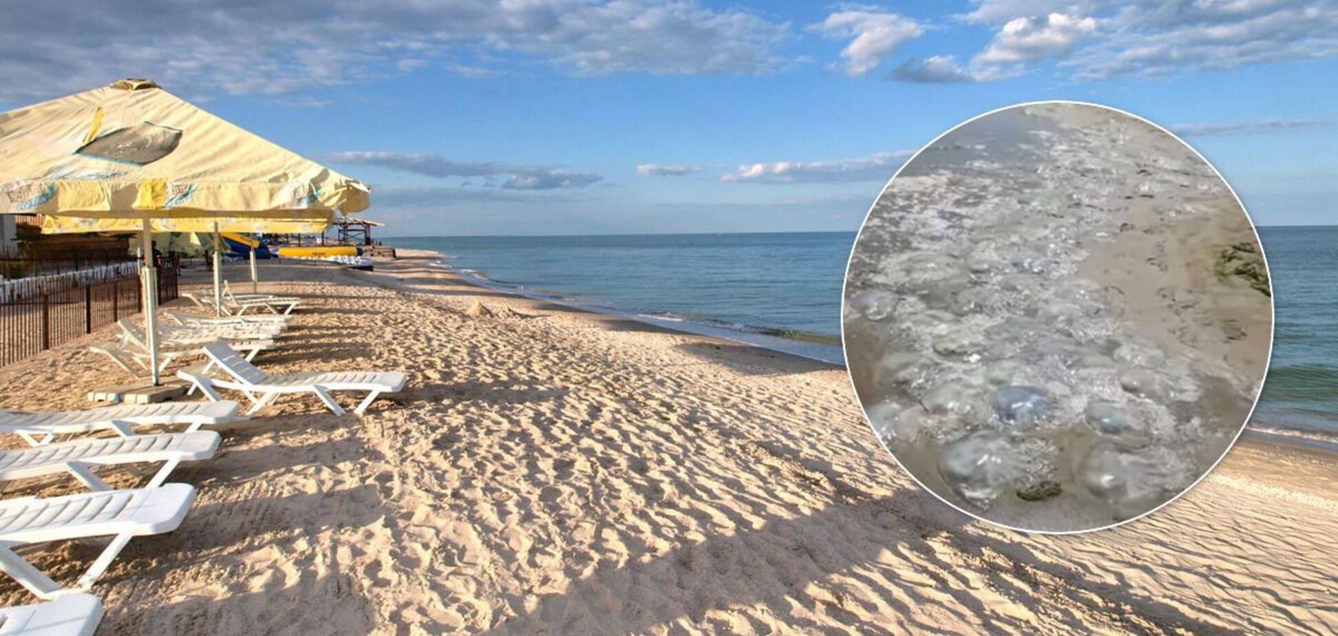 Популярный курорт Украины атаковали медузы