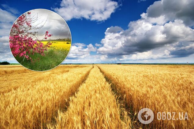 Як закінчиться літо в Україні: детальний прогноз погоди на серпень