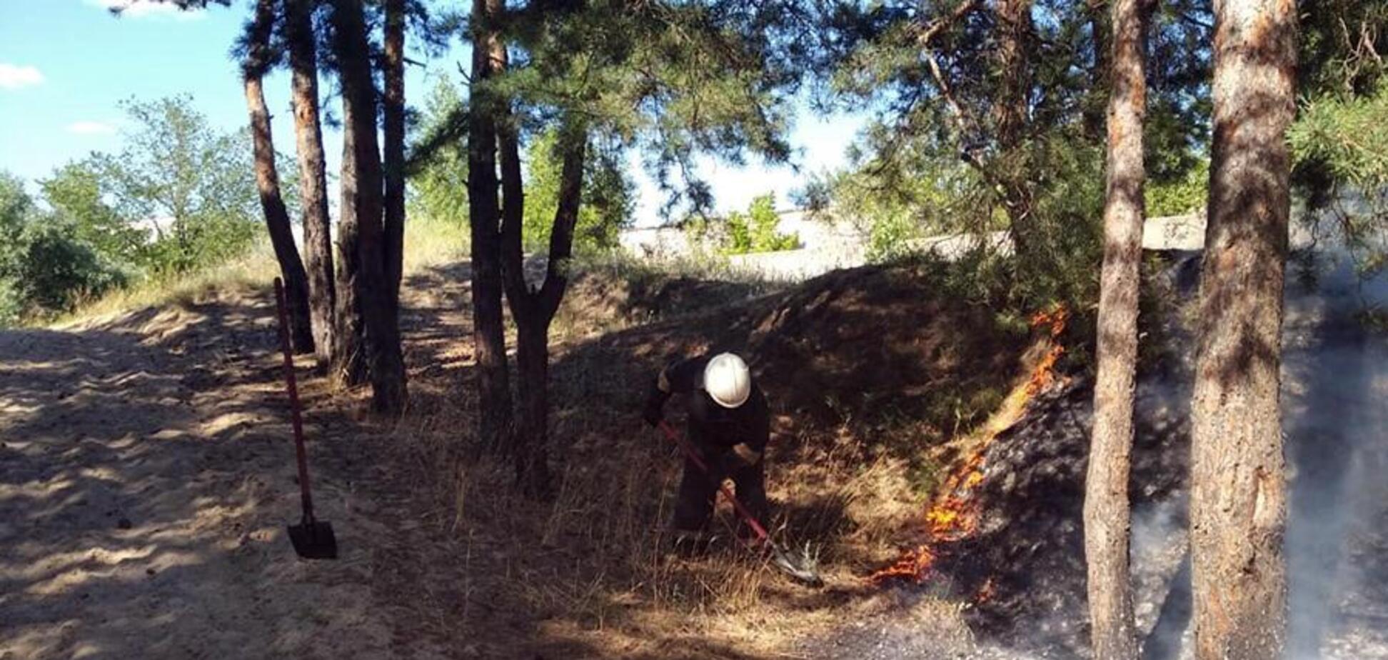 В Днепре и области увеличилось количество пожаров: спасатели обратились к горожанам