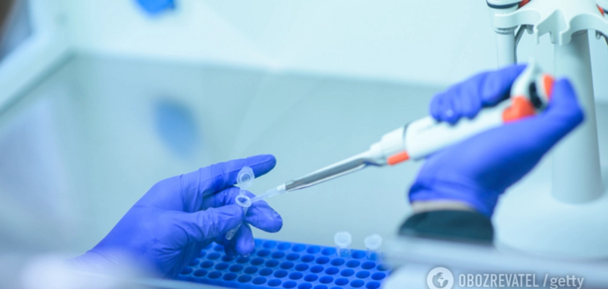 Новый штамм вируса свиного гриппа может вызвать пандемию