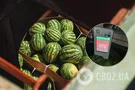 В арбузе обнаружили "чрезмерное" содержание нитратов