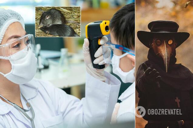 Мир начала поражать бубонная чума: нужно ли бояться Украине новой пандемии