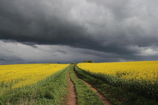 Погода в Украине 7 июля будет дождливой
