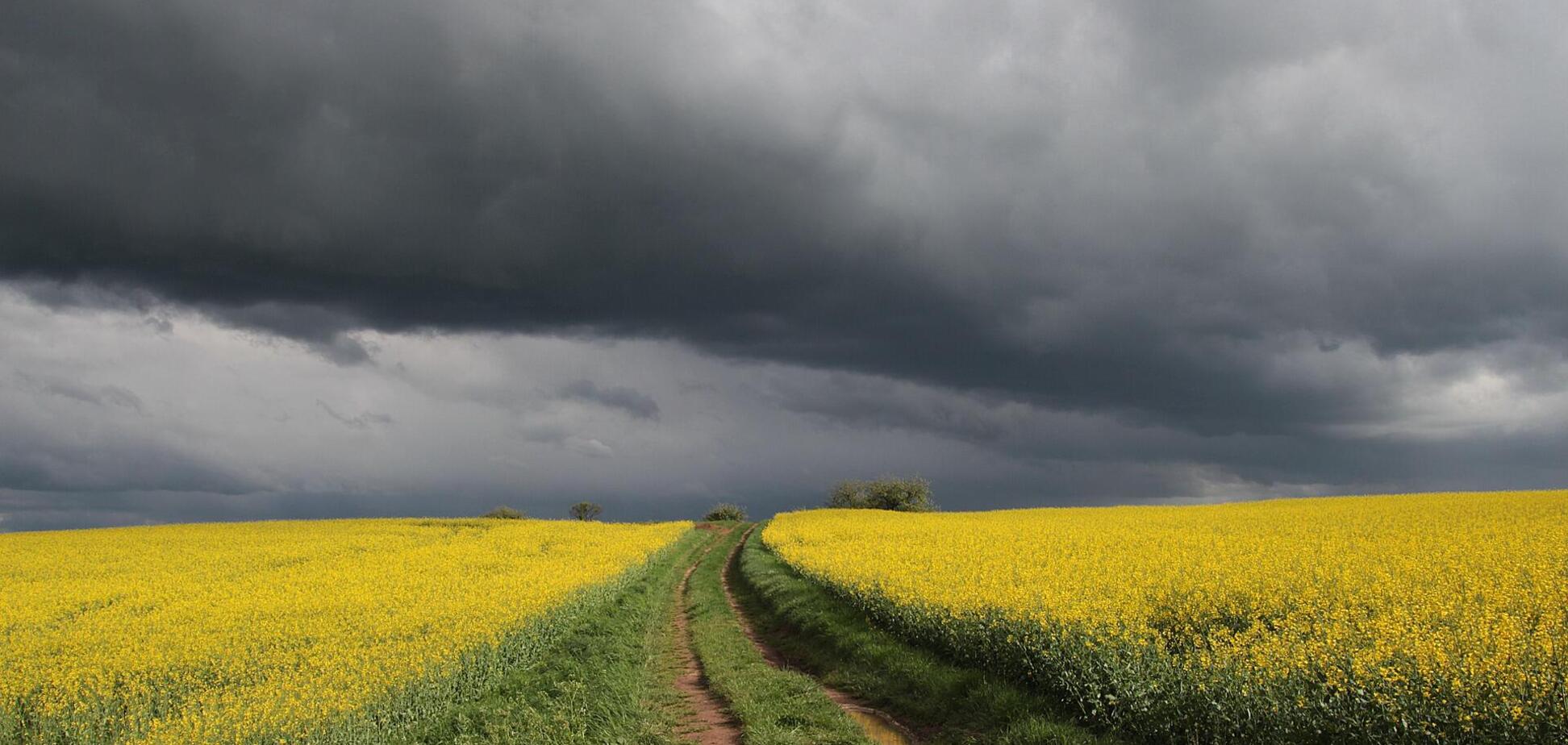 Погода в Україні 7 липня буде дощовою