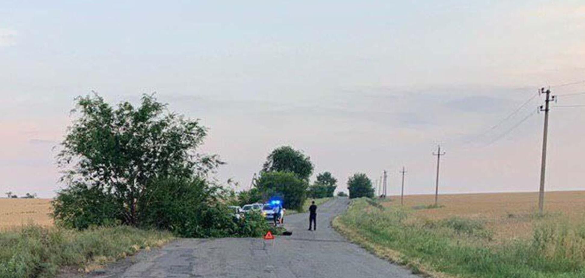 На Дніпропетровщині авто на швидкості розбилося об дерево: є загиблий і постраждалі