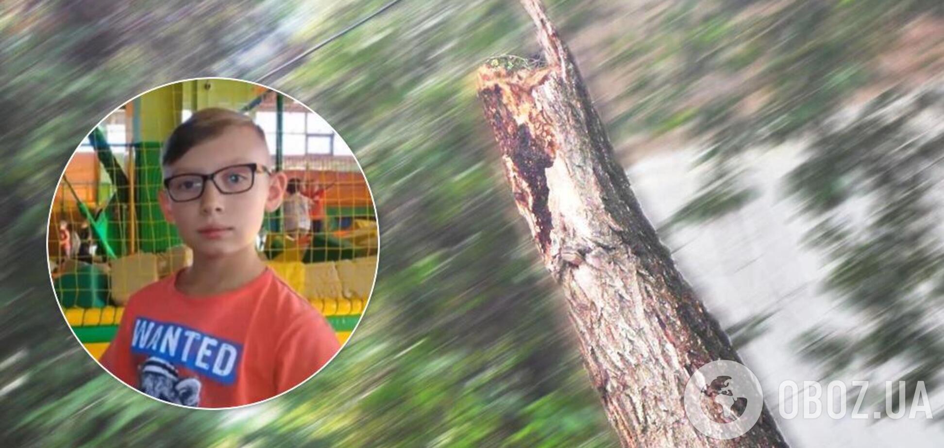 На Сумщині дитину вбило гілкою дерева