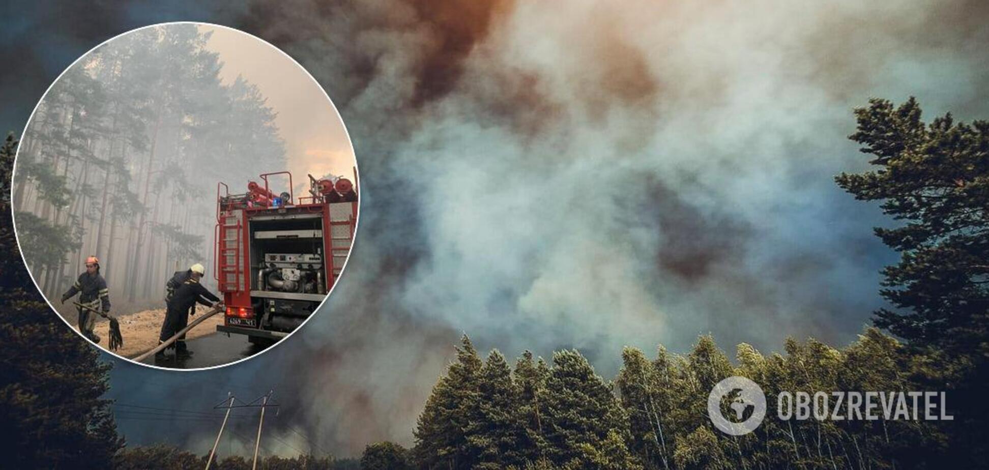 На Луганщине загорелись десятки гектаров леса