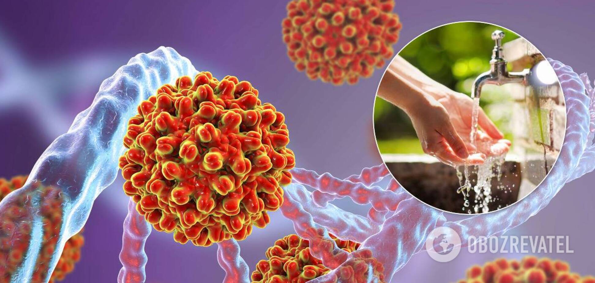 Як захиститися від бубонної чуми: лікарка дала рекомендації