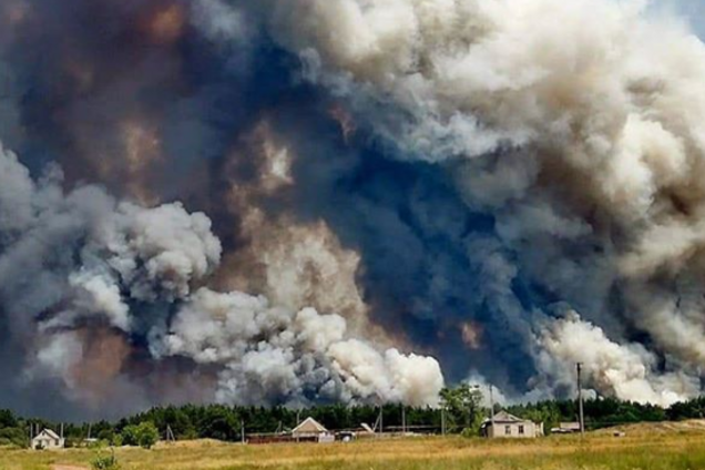 Пожежа на Луганщині знищила цілі гектари: фоторепортаж з місця НП