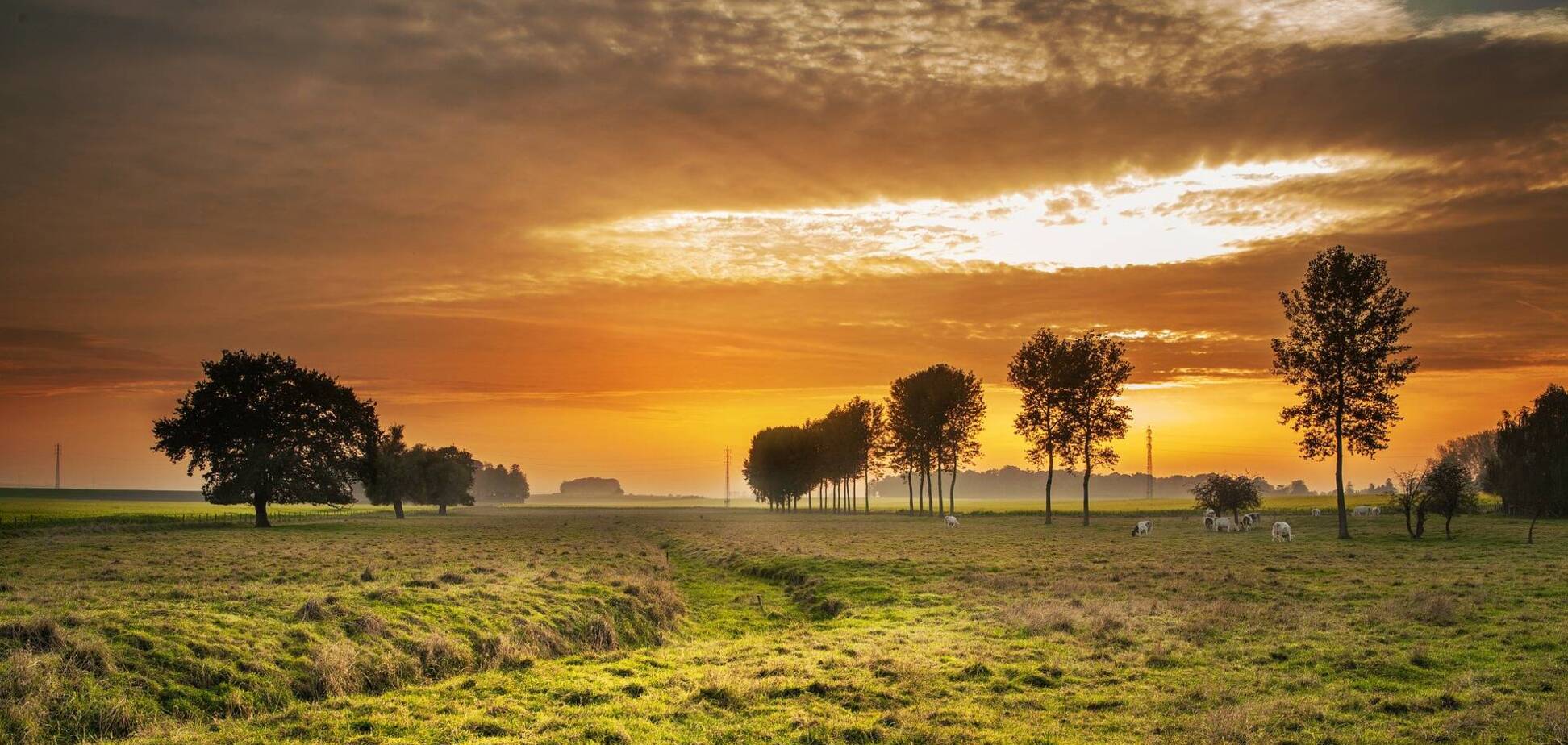 Что можно и нельзя делать 10 июля