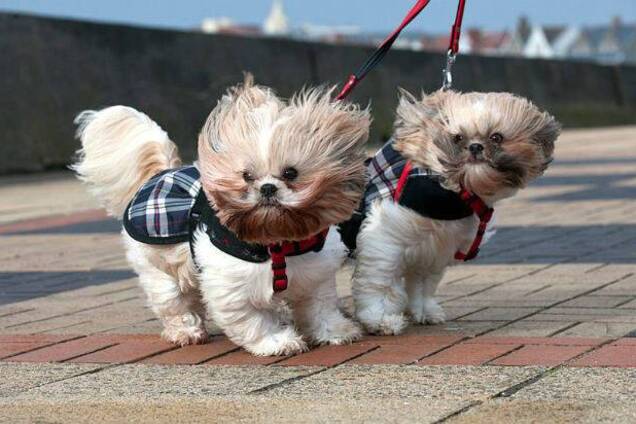 Ветрено, но солнечно: синоптики дали свежий прогноз погоды в Днепре