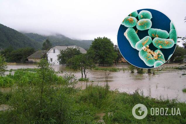 Від гепатиту до сибірської виразки: як повінь на заході України може викликати спалах інфекцій