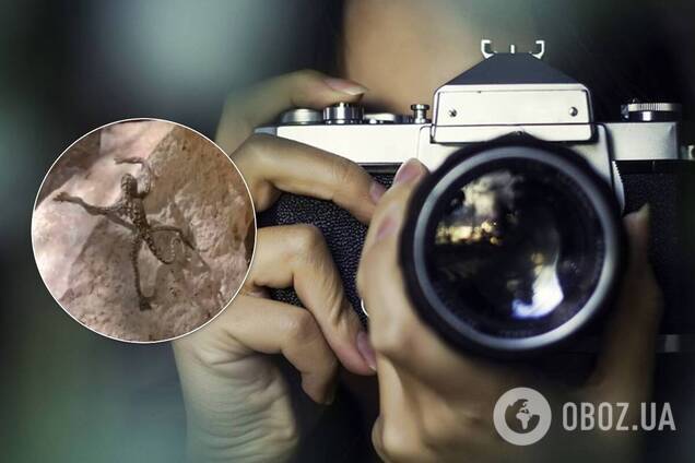 У США зняли незвичайну істоту