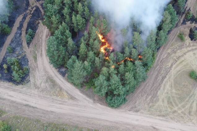 Пожары в Луганской области