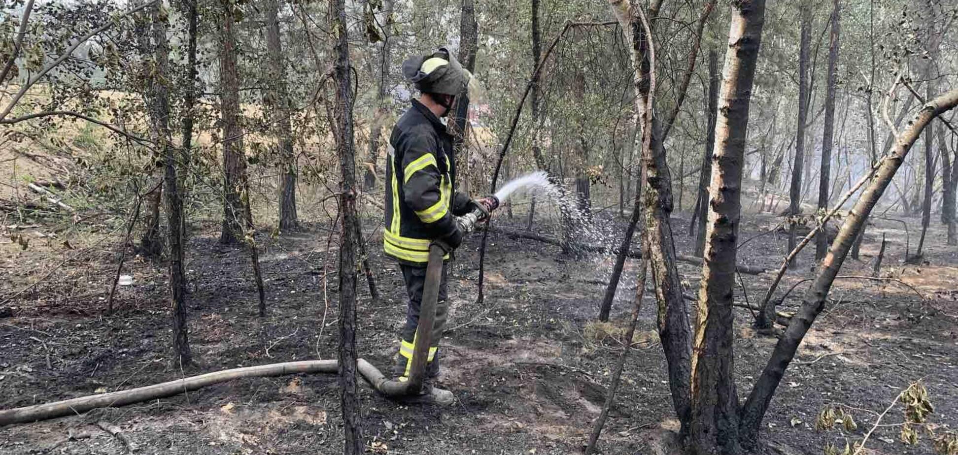 Рятувальники локалізували пожежі на Луганщині