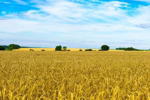 Зі словами гімну вмирали герої України. Навіщо його змінювати?