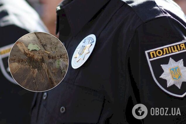 Под Черниговом от взрыва гранаты погибли три человека