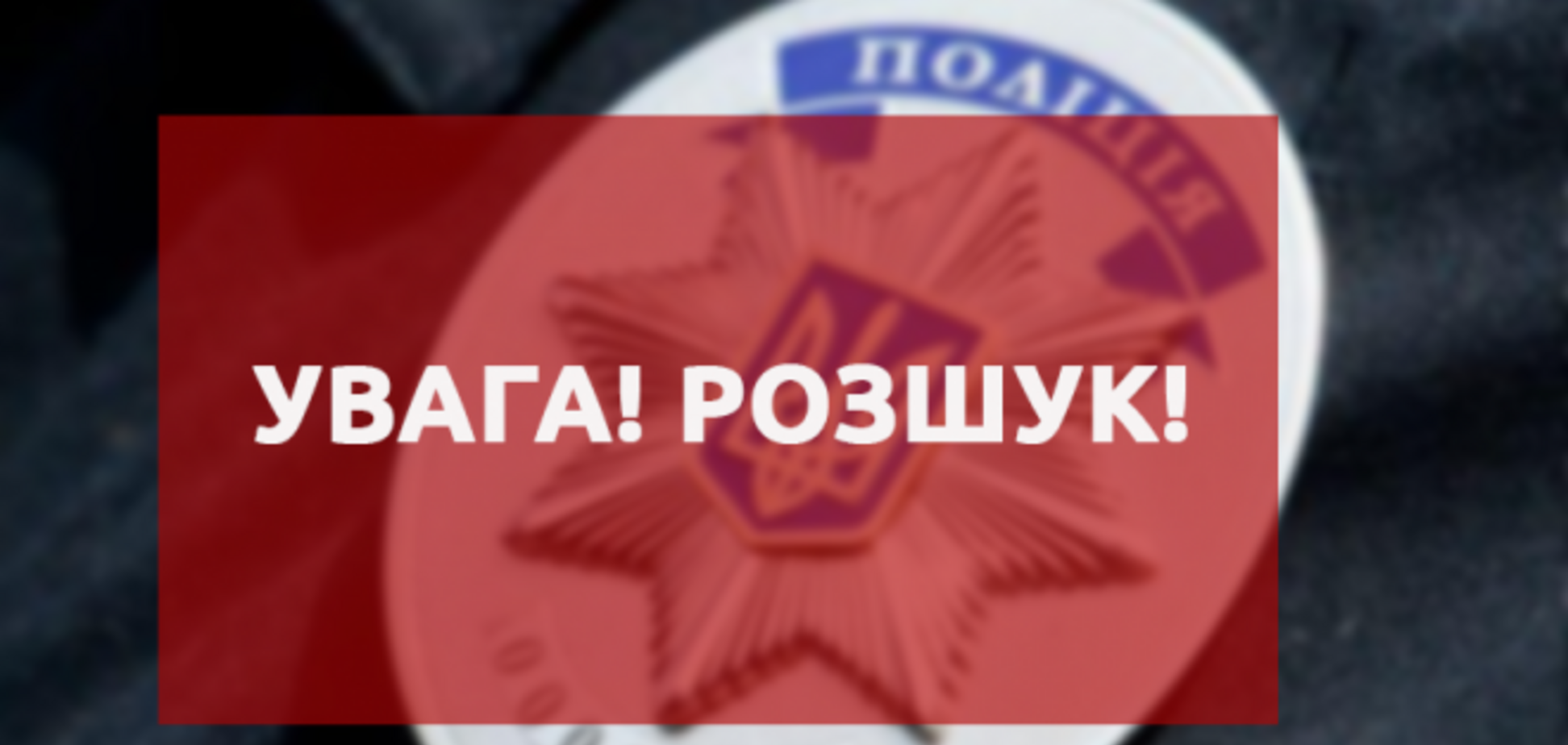 В Киеве парень прыгнул с моста в Днепр и пропал без вести. Иллюстрация