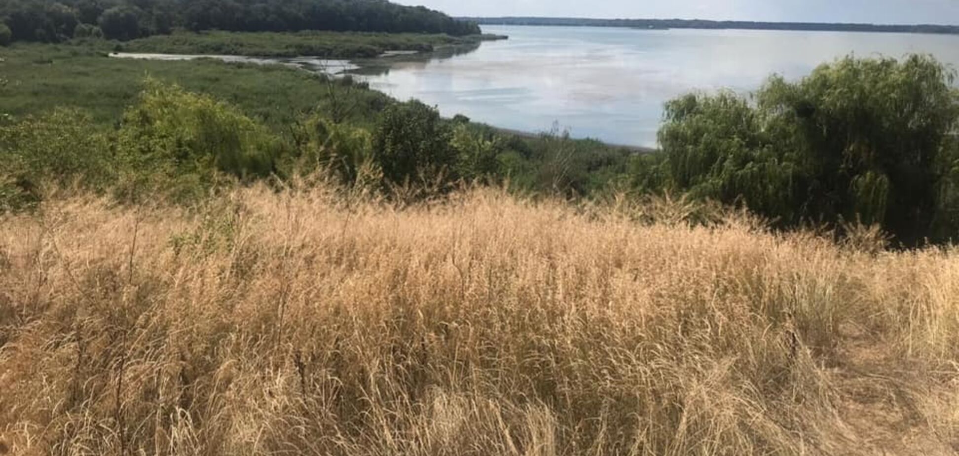 На Київщині вбили дівчинку Софію Недобой