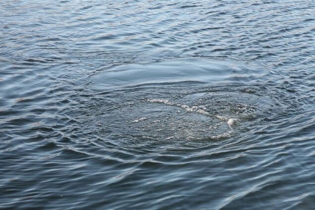 Под Харьковом утонул 10-летний ребенок (фото: Мелитополь.City)