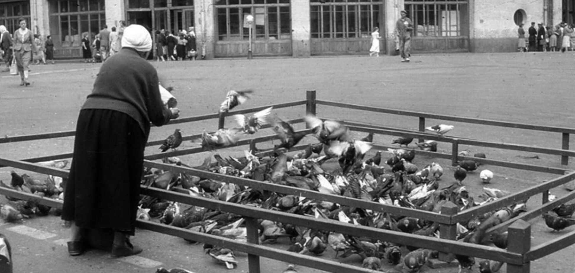Жінка, яка годувала голубів в центрі Києва в 1960-х роках